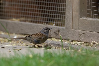 BUITEN BEELD Foto: 106731