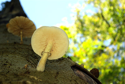 BUITEN BEELD Foto: 106771
