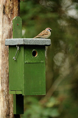 BUITEN BEELD Foto: 106796