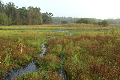 BUITEN BEELD Foto: 106821