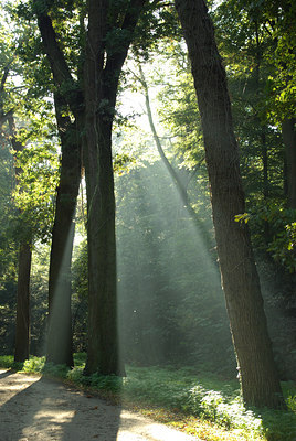 BUITEN BEELD Foto: 106833