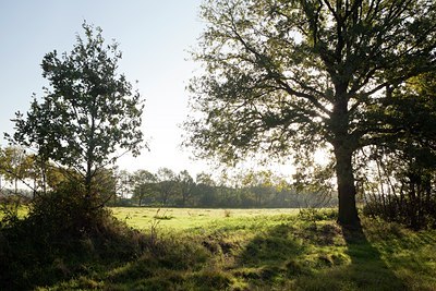 BUITEN BEELD Foto: 106846