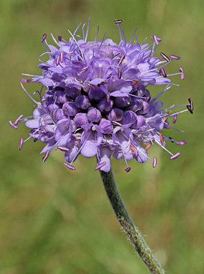 BUITEN BEELD Foto: 106848