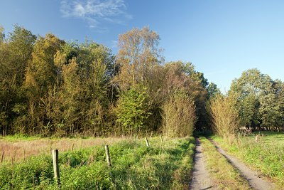 BUITEN BEELD Foto: 106852