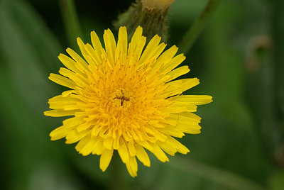 BUITEN BEELD Foto: 106859