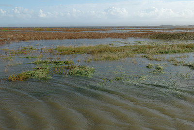 BUITEN BEELD Foto: 107006