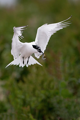 BUITEN BEELD Foto: 107064