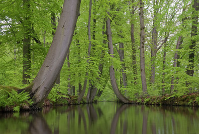 BUITEN BEELD Foto: 107073