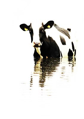 BUITEN BEELD Foto: 107101