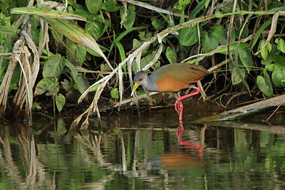 BUITEN BEELD Foto: 107148