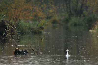 BUITEN BEELD Foto: 107220