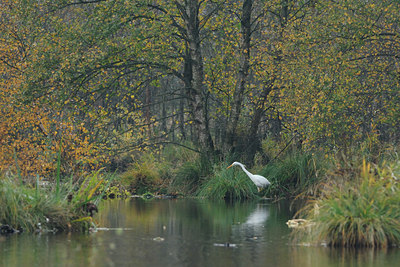 BUITEN BEELD Foto: 107277