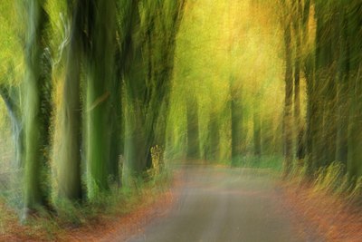 BUITEN BEELD Foto: 107303