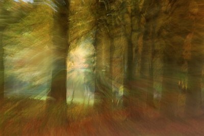 BUITEN BEELD Foto: 107305