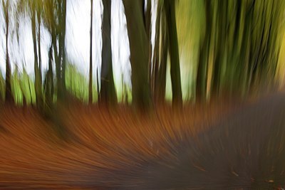 BUITEN BEELD Foto: 107306