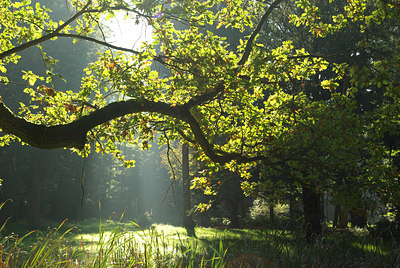 BUITEN BEELD Foto: 107313