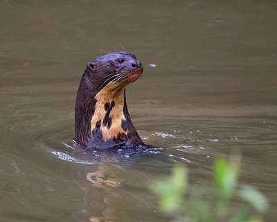 BUITEN BEELD Foto: 107342