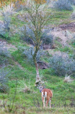 BUITEN BEELD Foto: 107379