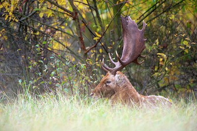 BUITEN BEELD Foto: 107392