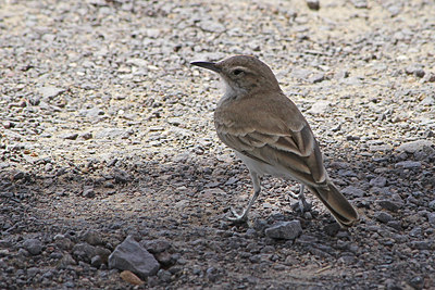 BUITEN BEELD Foto: 107472