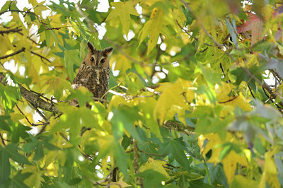 BUITEN BEELD Foto: 107560