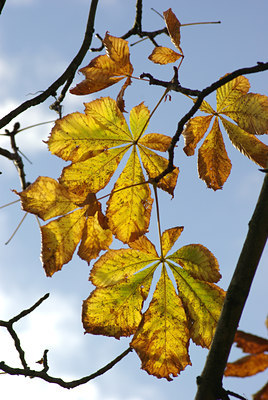 BUITEN BEELD Foto: 107592
