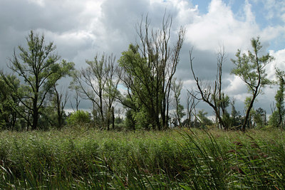 BUITEN BEELD Foto: 107634