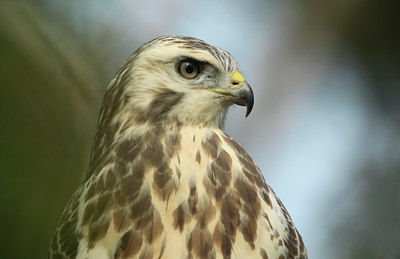 BUITEN BEELD Foto: 107646