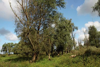 BUITEN BEELD Foto: 107648