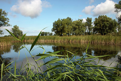 BUITEN BEELD Foto: 107650