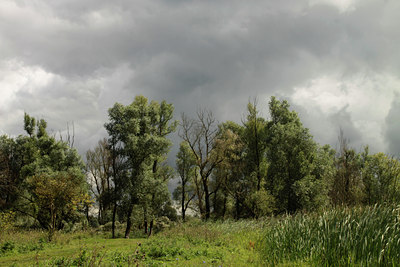 BUITEN BEELD Foto: 107651