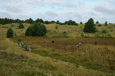 BUITEN BEELD Foto: 107676