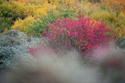 BUITEN BEELD Foto: 107703