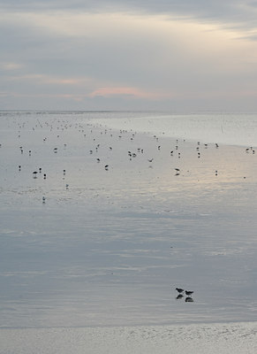 BUITEN BEELD Foto: 107721
