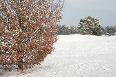 BUITEN BEELD Foto: 107733