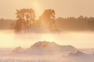 BUITEN BEELD Foto: 107744