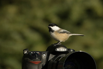 BUITEN BEELD Foto: 107753