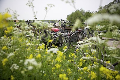 BUITEN BEELD Foto: 107764