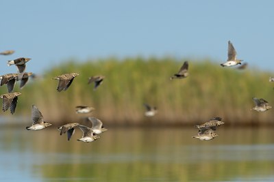 BUITEN BEELD Foto: 107842