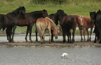 BUITEN BEELD Foto: 107868