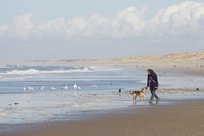 BUITEN BEELD Foto: 107883