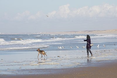 BUITEN BEELD Foto: 107884