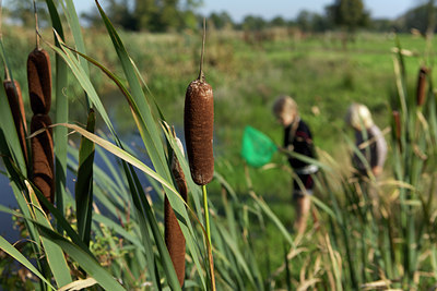 BUITEN BEELD Foto: 107902