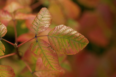 BUITEN BEELD Foto: 107948