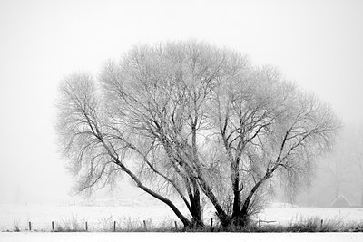 BUITEN BEELD Foto: 107963