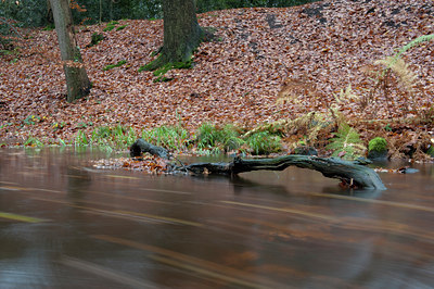 BUITEN BEELD Foto: 107972
