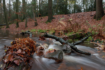 BUITEN BEELD Foto: 107975