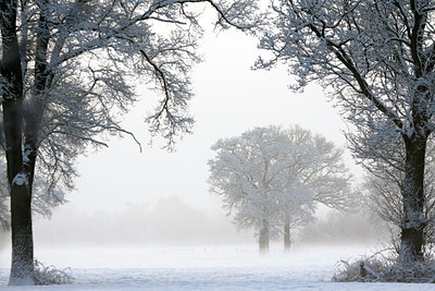 BUITEN BEELD Foto: 107991