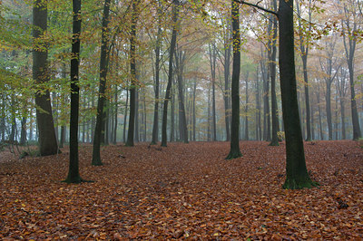 BUITEN BEELD Foto: 108000