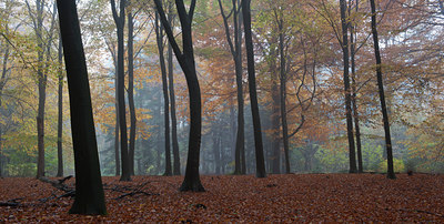 BUITEN BEELD Foto: 108002